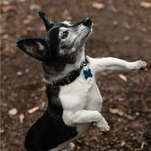 Nothing to sell here!!